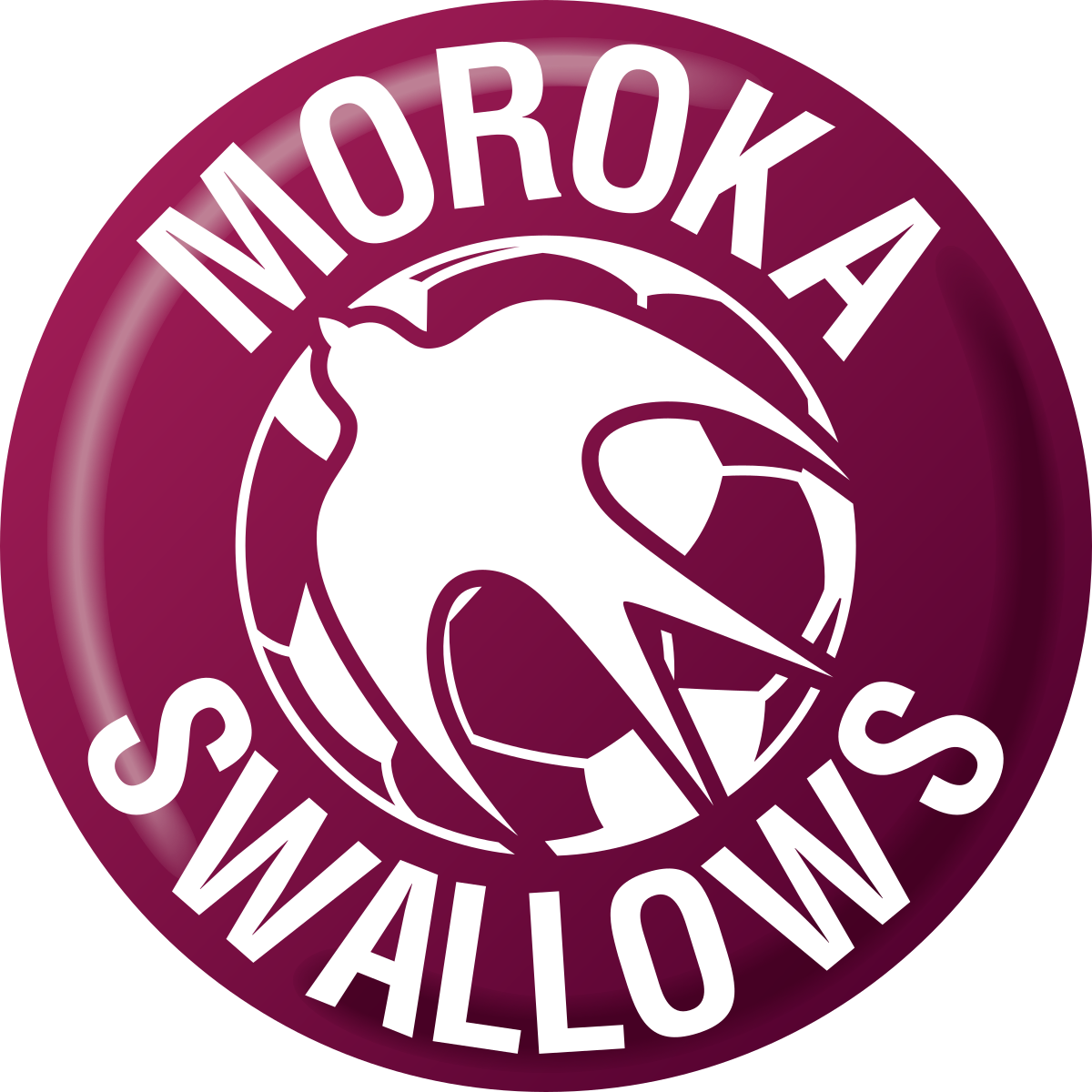 Moroka Swallows Management