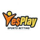 Best Online Betting Sites in South Africa (2024)